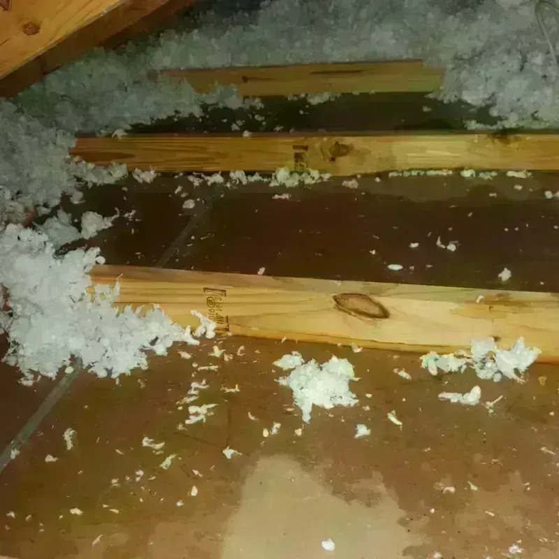 Attic Water Damage in Pinehurst, TX