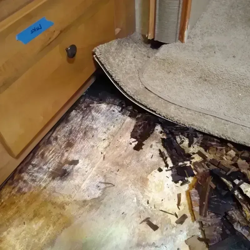 Wood Floor Water Damage in Pinehurst, TX